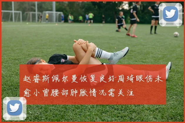 赵睿斯佩尔曼恢复良好周琦眼伤未愈小曾腰部肿胀情况需关注